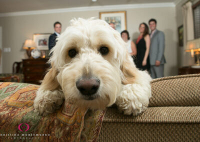 All Dressed Up and Somewhere to Go / Elegant Family Portraits