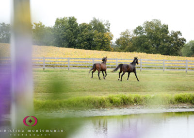 Jordan and Tim’s Wedding – Lingrow Farm